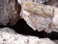 Толяновская нога над пещерой